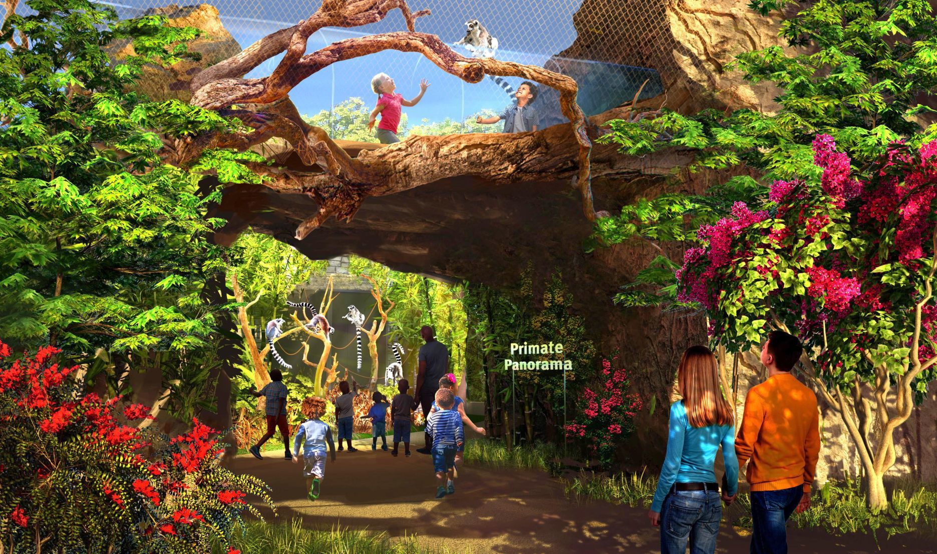 Primate Canopy Trails